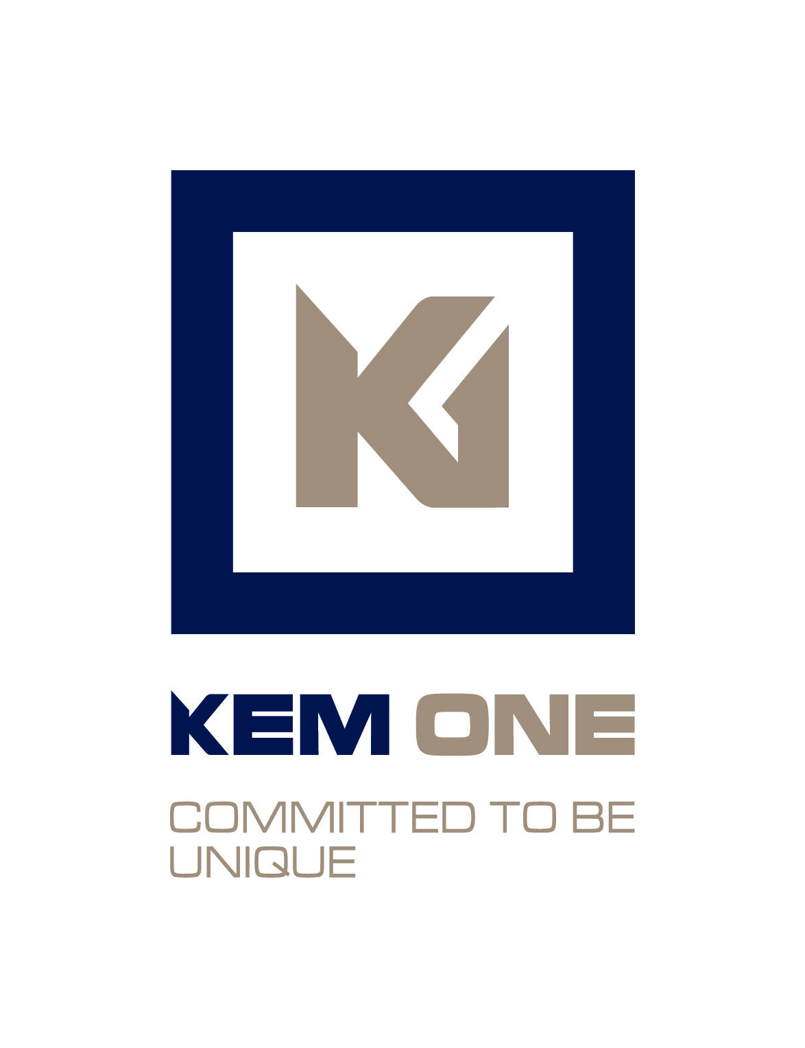 kem-one-usine-de-balan_logo